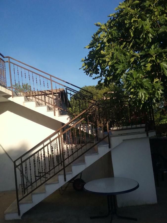Milda+M Apartment Skradin Bagian luar foto